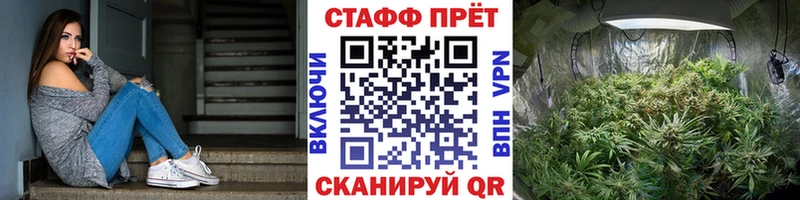 Галлюциногенные грибы Гусев