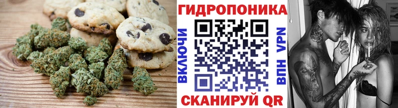 Купить где  Гусев  Canna-Cookies конопля 