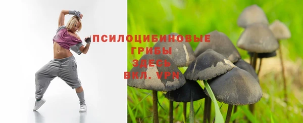 скорость Инсар