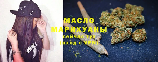 МДПВ Инта