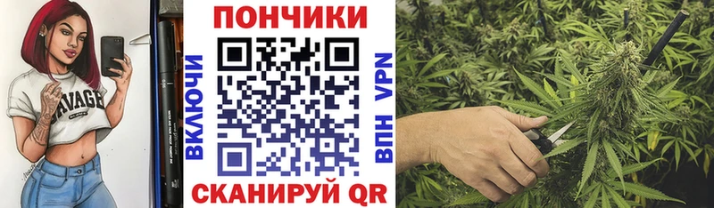 Купить  Гусев  Каннабис SATIVA & INDICA 